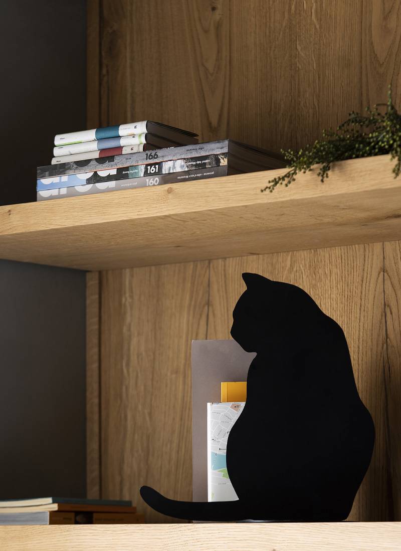 Opinion Ciatti Ombres de chats Angelo Barcella / 2010 - 2017 Ultimi tre giorni