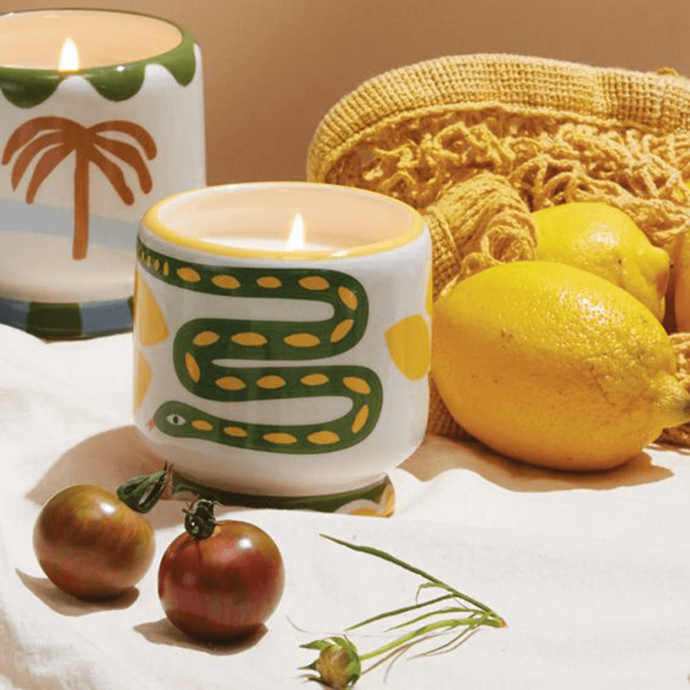Sbam Design Candela profumata in vasetto di ceramica – wild lemongrass Offerte