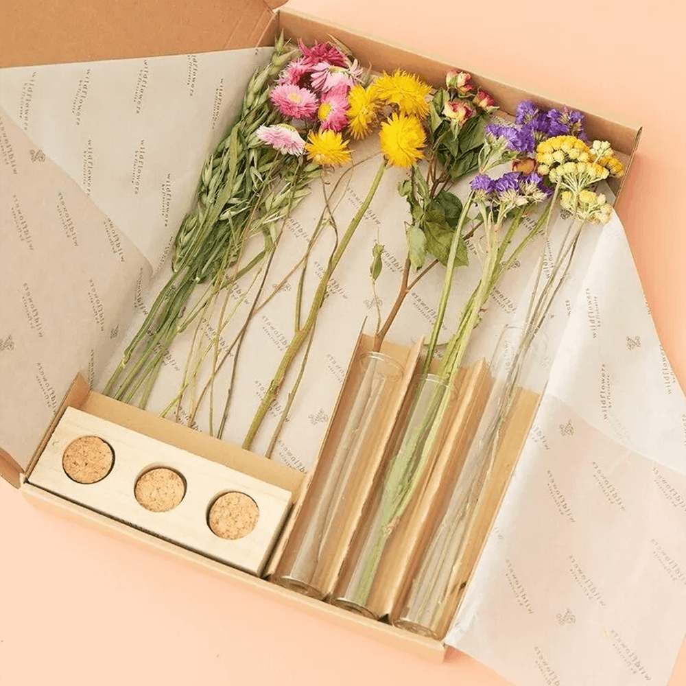 Sbam Design Set fiori secchi e fialette Vendite Flash