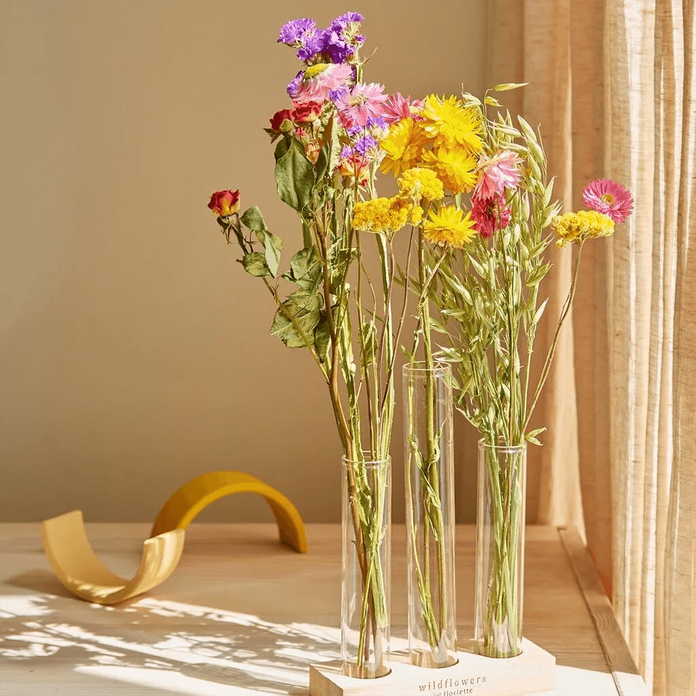 Sbam Design Set fiori secchi e fialette Vendite Flash
