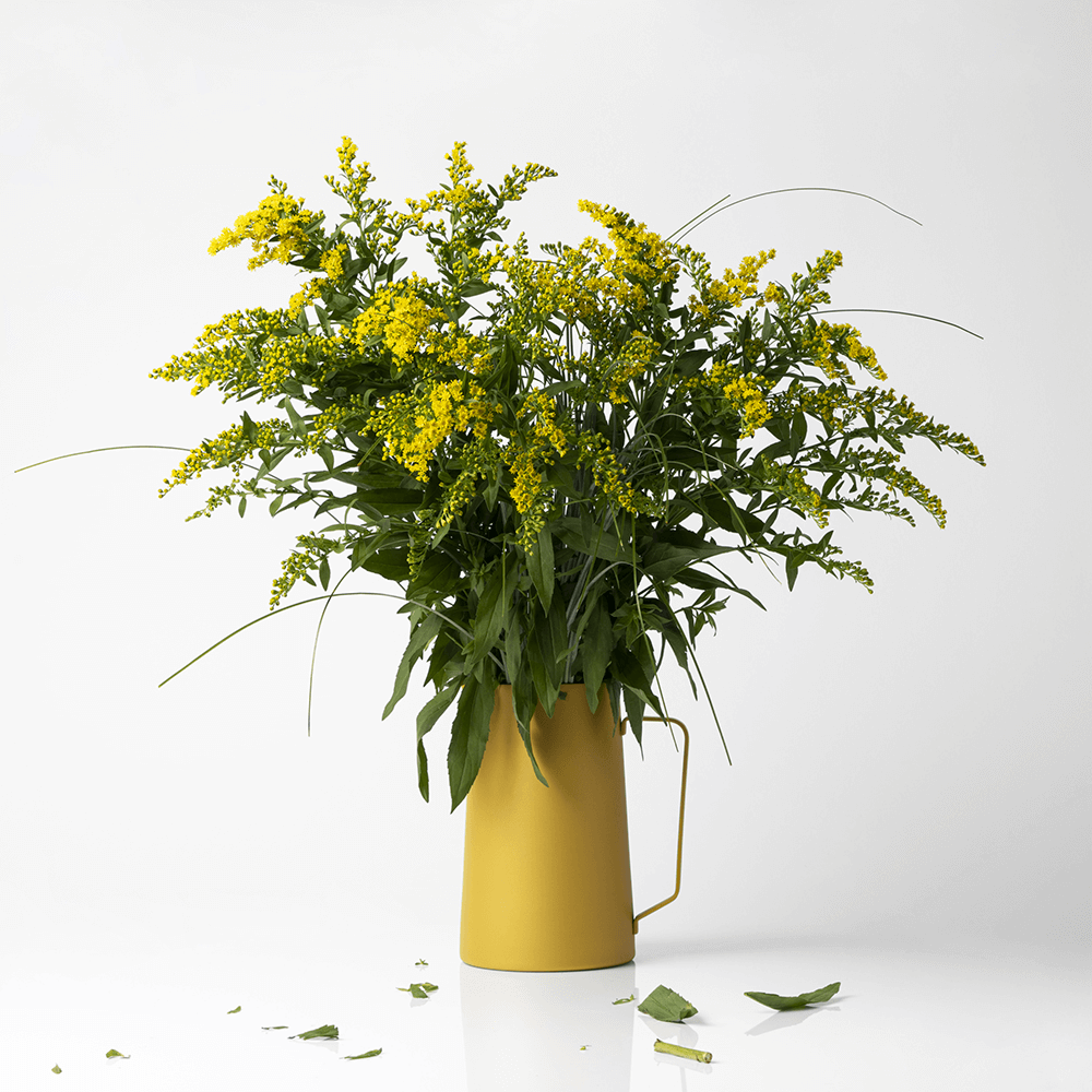 Sbam Design Brocca/Vaso – Diario Offerte