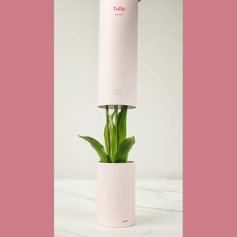 Sbam Design Tulip – profumatore per ambiente Sconto
