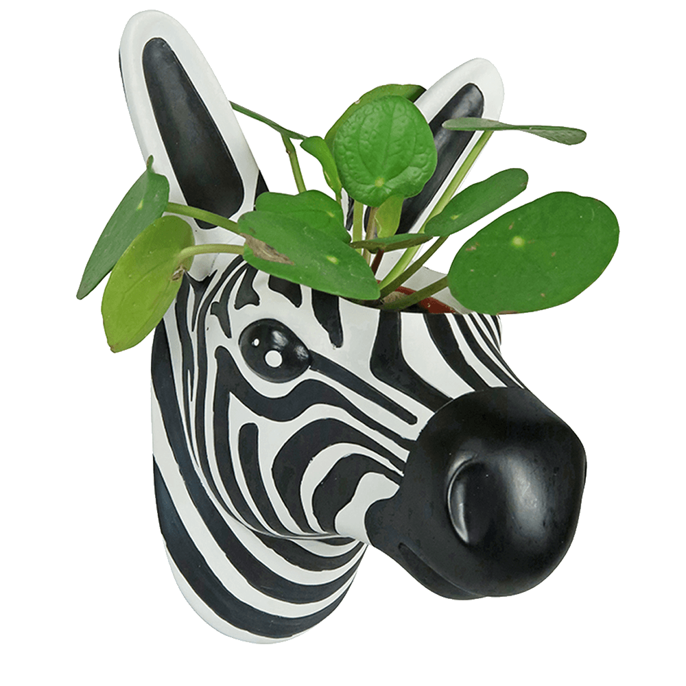 Sbam Design Vaso da parete – zebra 2025