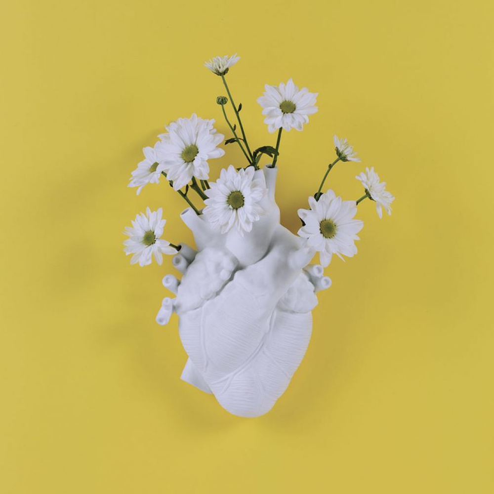 Sbam Design Vaso cuore – Love in bloom Offerta settimanale