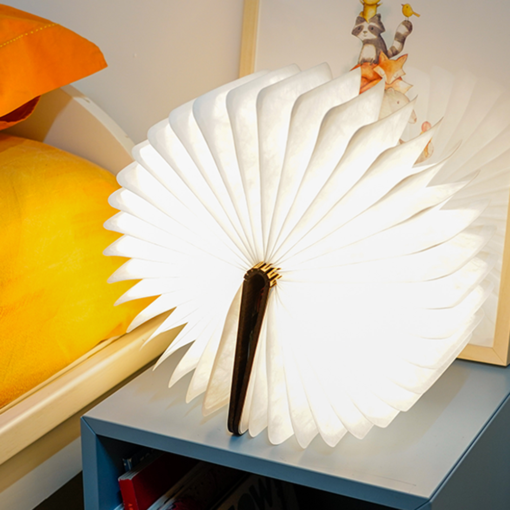 Sbam Design Pic Light – libro luminoso con copertina personalizzabile Ritorno libero