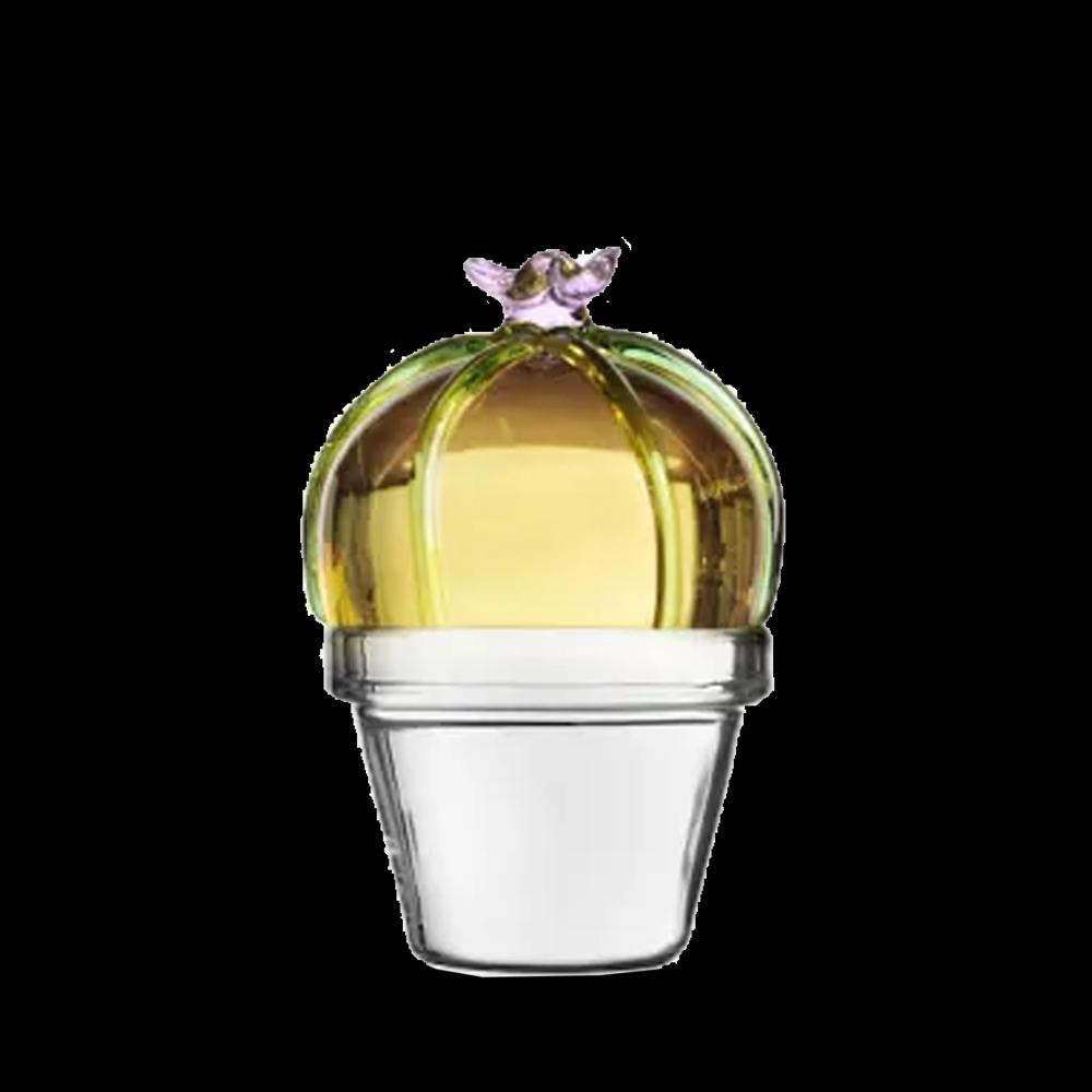 Sbam Design Fermacarte decorativo cactus di vetro Rilascio limitato