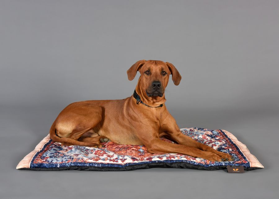 Seletti Kennel carpet PETS (R)EVOLUTION Big Nuova