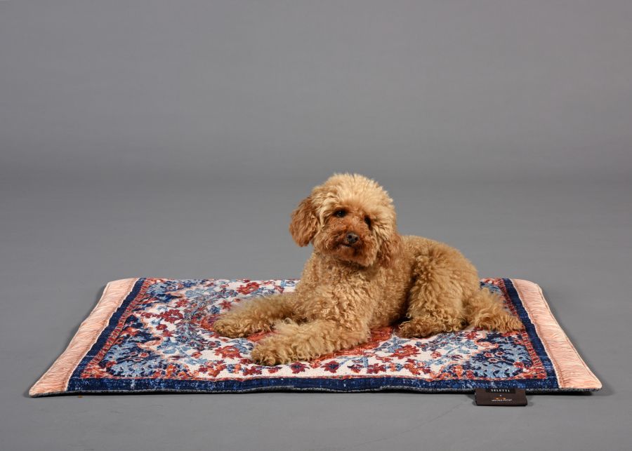 Seletti Kennel carpet PETS (R)EVOLUTION Medium Moda
