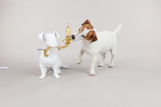 Seletti Rio Lamp Grandi sconti