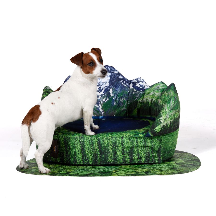 Seletti Kennel PETS (R)EVOLUTION Les Alpes Offerta