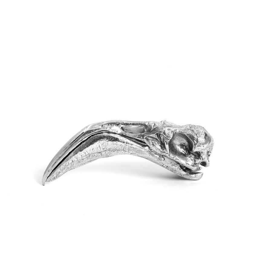 Seletti Wunderkammer Flamingo Skull Offerte