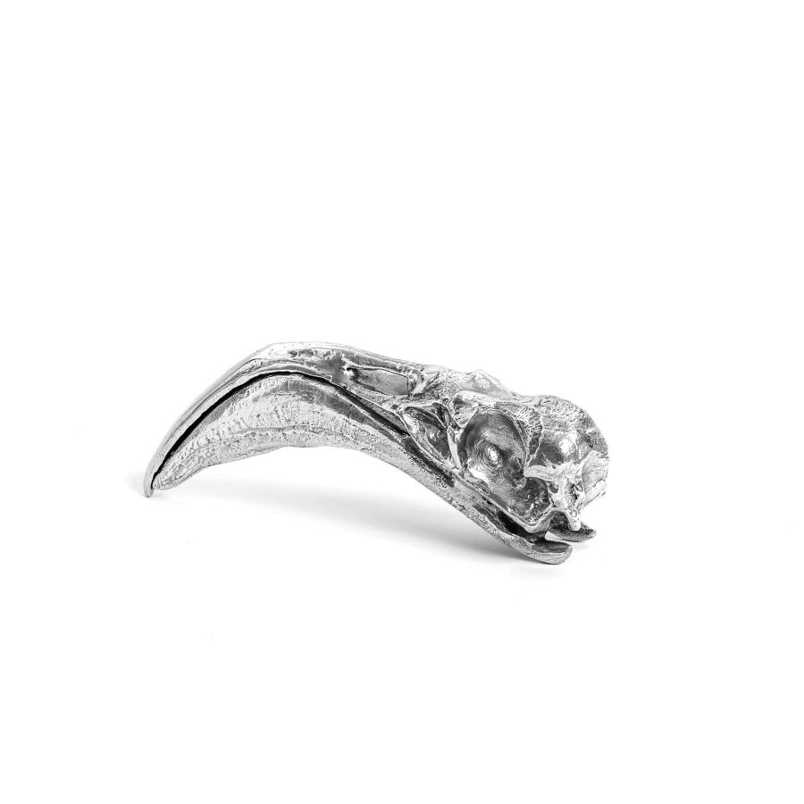 Seletti Wunderkammer Flamingo Skull Offerte
