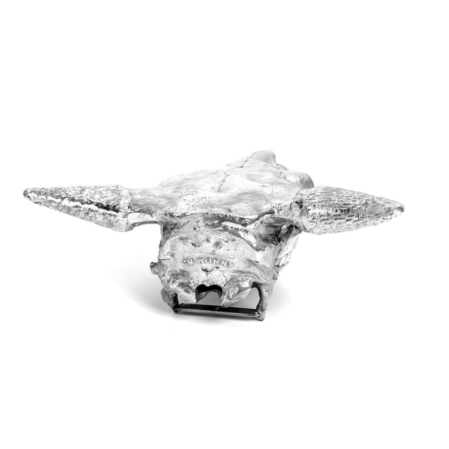Seletti Wunderkammer Bison Skull