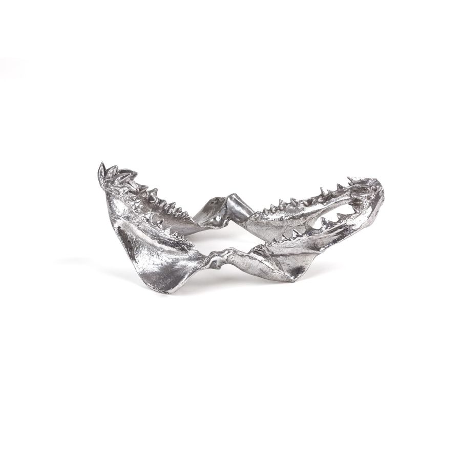 Seletti Wunderkammer Shark Jaw I Più Venduti