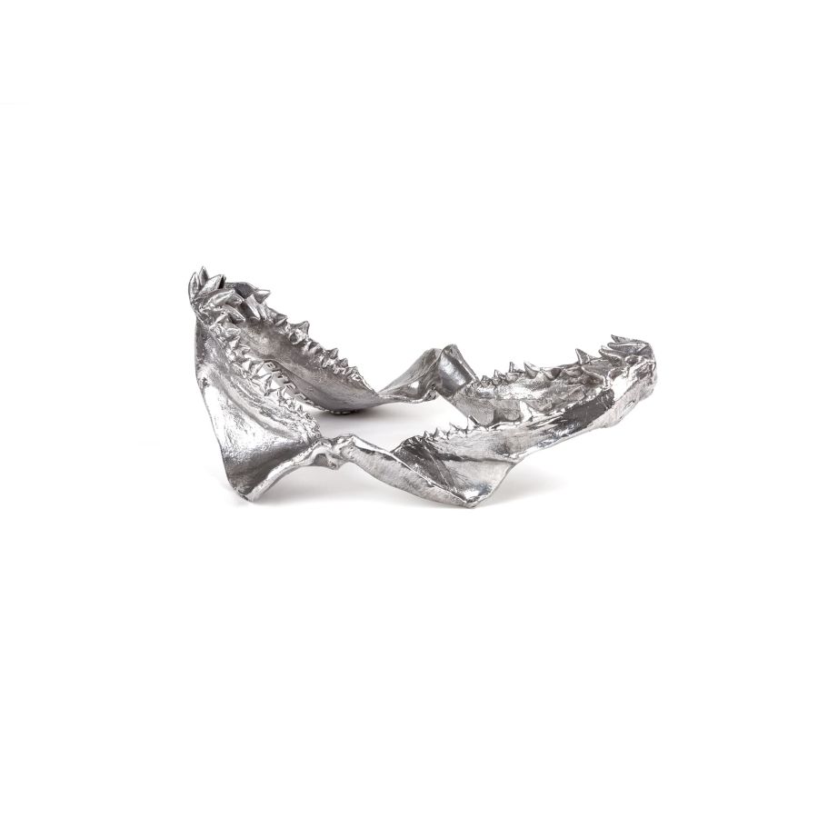 Seletti Wunderkammer Shark Jaw I Più Venduti