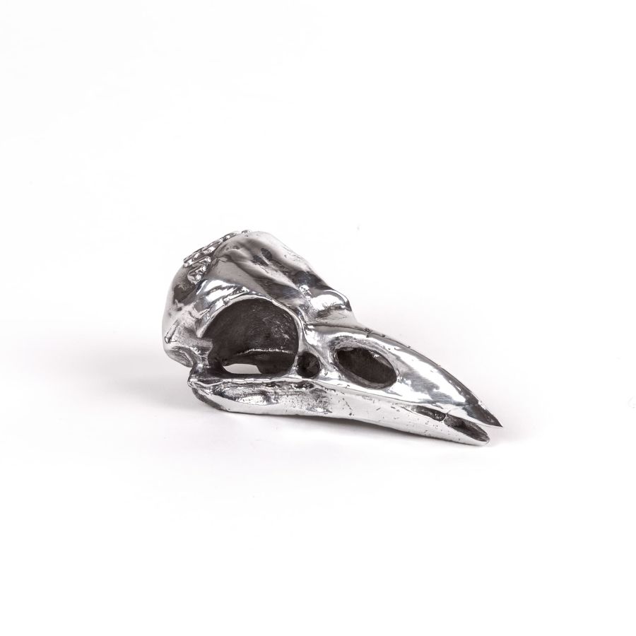 Seletti Wunderkammer Bird Skull Vendite Flash