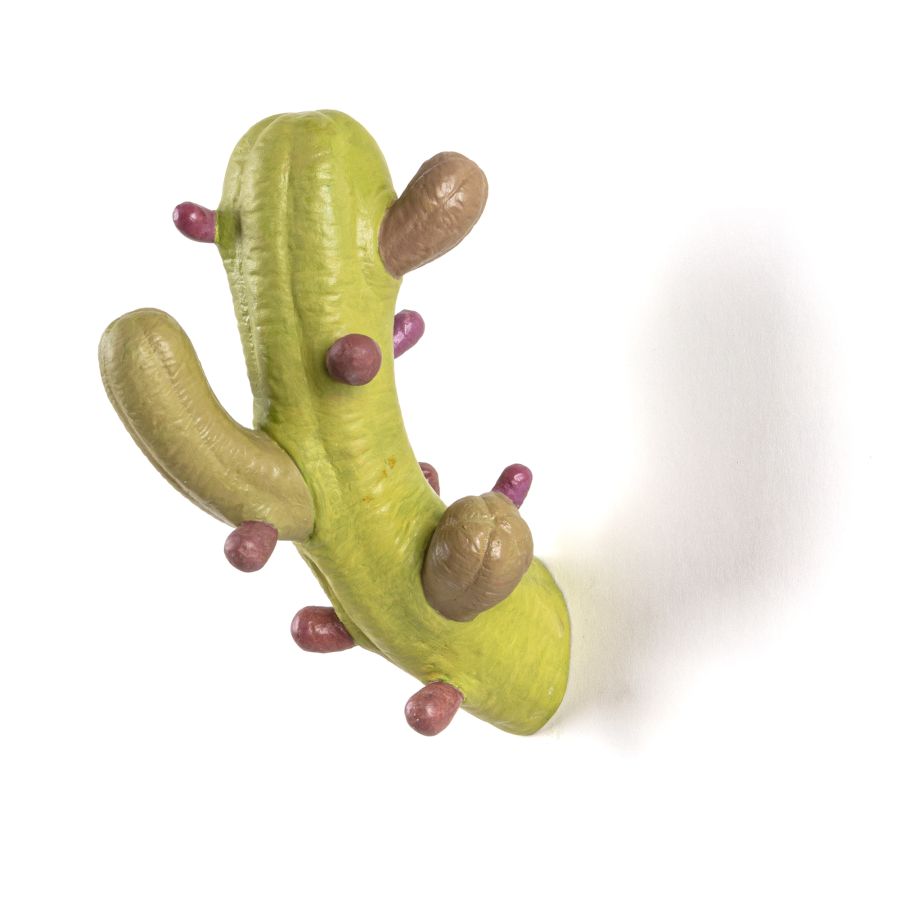 Seletti Cactus Coloured Italia