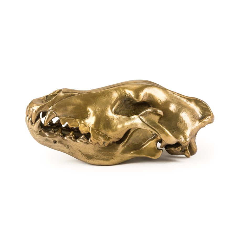 Seletti Wunderkrammer Wolf Skull