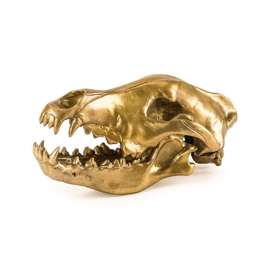 Seletti Wunderkrammer Wolf Skull Consegna Veloce