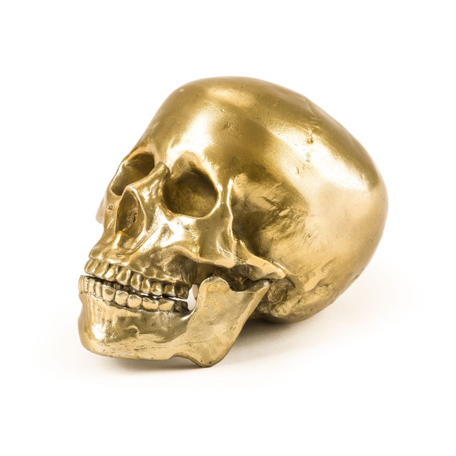 Seletti Wunderkrammer Human Skull