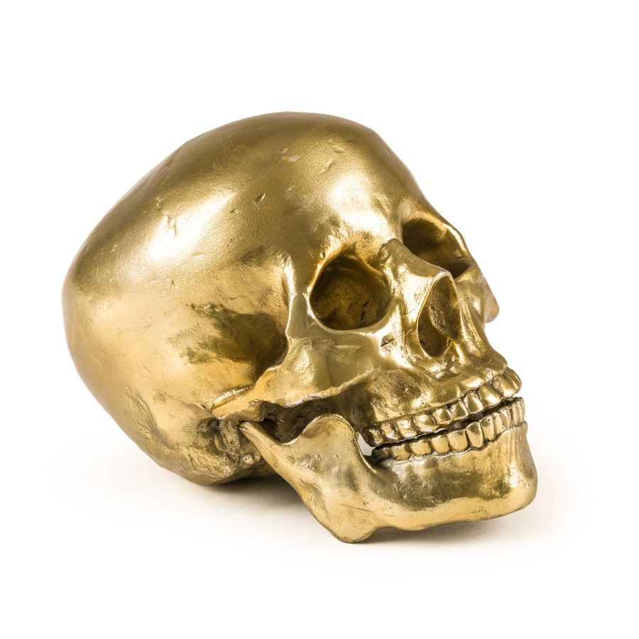 Seletti Wunderkrammer Human Skull Promozione Limitata
