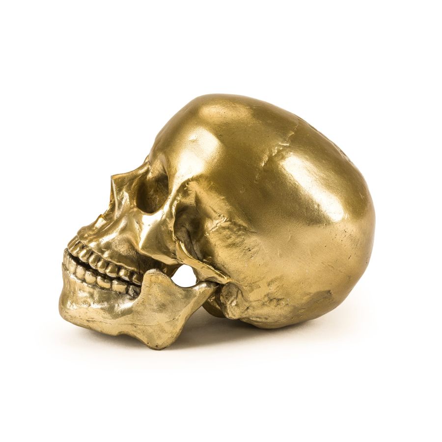 Seletti Wunderkrammer Human Skull Promozione Limitata