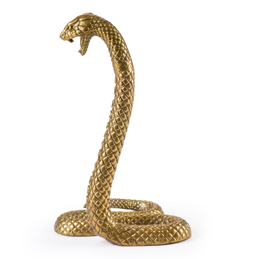 Seletti Wunderkrammer Snake Novità
